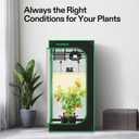 VIVOSUN Grow Tent Kit, 2 2ft 1-Plant System, WiFi-Controlled Grow System with Full Spectrum LED Grow Light, Automatic Ventilation, GrowHub Outlet A22 with Temperature and Humidity Sensor
