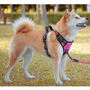 PoyPet Dog Harness, Escape Proof No Pull Vest Harness (Pink,S)