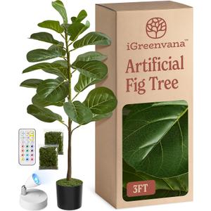 Artificial Fiddle Leaf Fig Tree 3ft (36 Inch) Tall - with Remote LED Spotlight - Realistic Faux Potted Plant & Moss for Living Room & Office Decor