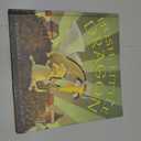 Hush, Little Dragon, Hardcover
