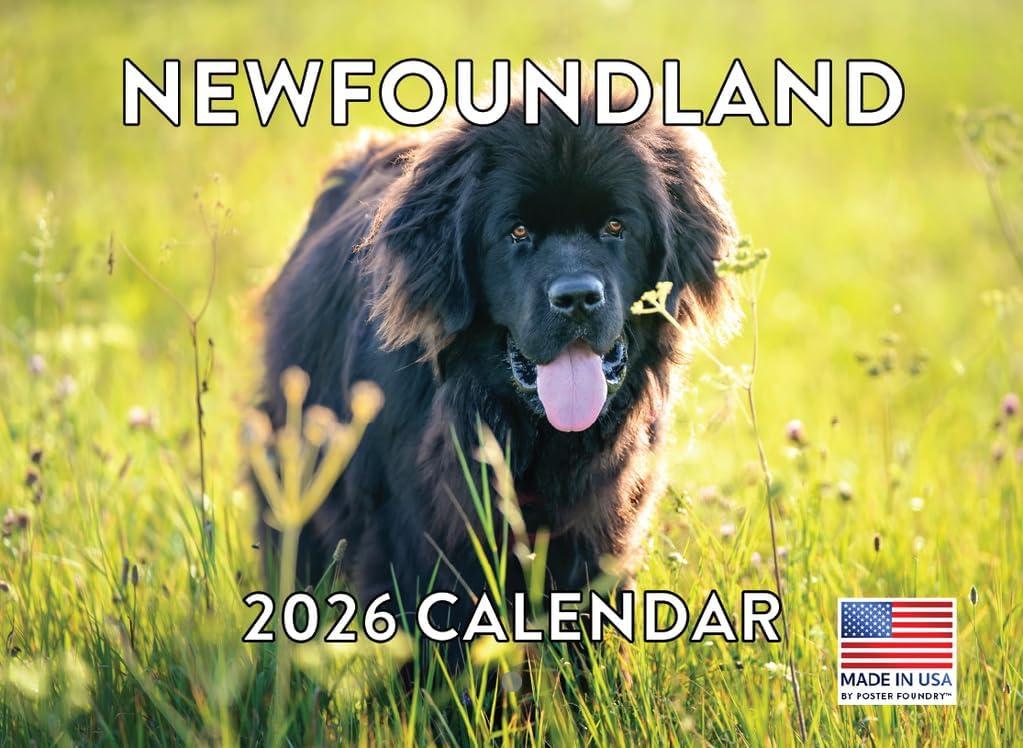 Newfoundland Calendar 2026 Newfie Monthly Wall Calender 12 Month | American Made In The USA