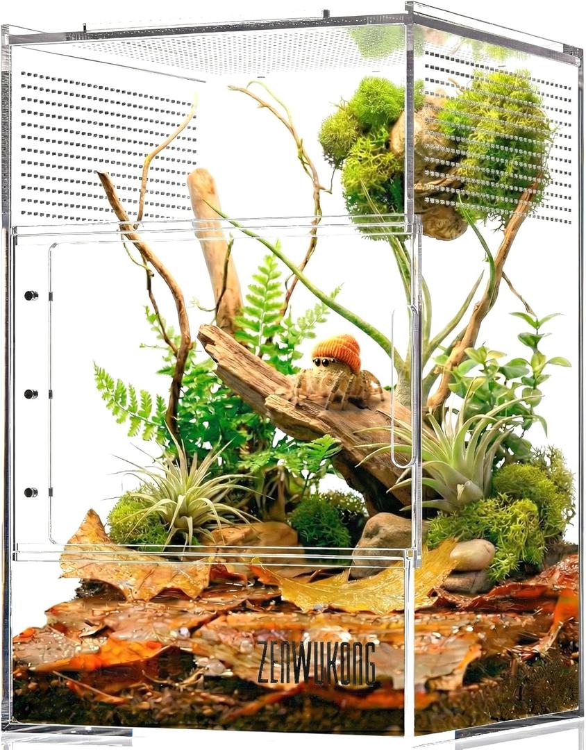 Jumping Spider Enclosure - Acrylic Terrarium Habitat for Spiders, Tarantulas, Snail, Mantis, Lizard, and Small Reptiles, Dual Magnetic Doors (6x6x9 inch)