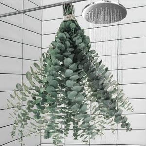 11 PCS Real Dried Eucalyptus Stem for Shower & Bathroom Decor - 17'' Large Natural Fresh Eucalyptus Leaves Hanging Plants, Shower Stuff Green Home Vase Decor, DIY