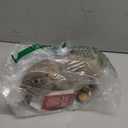 Fluff & Tuff Nuts Squirrel