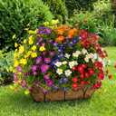 Giegxin 12 Pack Artificial Flowers Outdoor UV Resistant, 6 Colors Realistic Fake Eucalyptus Five-Eared Plum Flowers, Weatherproof Plastic Faux Flower, Silk Fake Flower Patio Porch Garden Yard