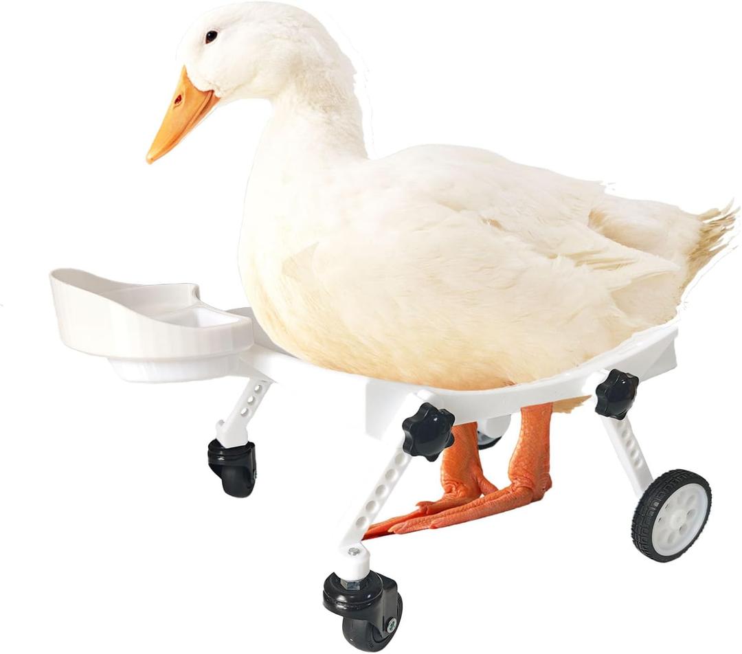 Pet Ducks Wheelchair - Adjustable Mobility Aid for Small AnimalsAdjustable Height for Comfortable Use Mobility Aid Cart with All-Terrain Wheels.