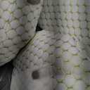 Pregnancy Pillow for Pregnant Women, Soft Pregnancy Body Pillow, Support for Back, Belly, HIPS, Legs, Maternity Pillow with Detachable and Adjustable Pillow Cover