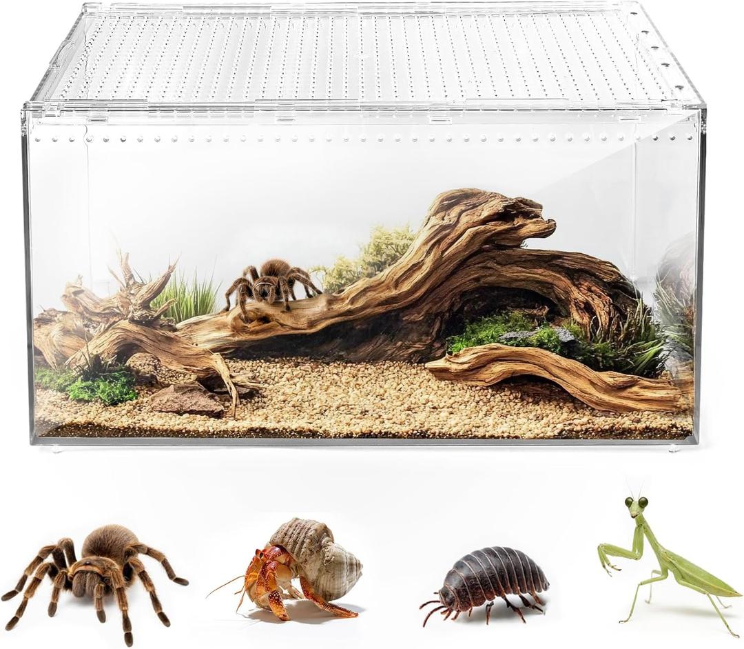 AZV Escape Proof Reptile Terrarium,Shatter Proof Polycarbonate Tarantula Tank with Magnetic Lid,Ventilated Spider Enclosure,360 Clear View,Easy Clean Habitat for Gecko,Frogs,Insects,Hermit Crabs L (Large(11.81*7.87*5.90inch))