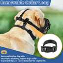 BARKLESS Dog Muzzle to Prevent Biting, Scavenging, Basket Muzzle for Large Medium Sized Dogs, Soft & Lightweight & Sturdy Mouth Cover with Removable Collar Loop for Training, Walking (Black, Size 6)