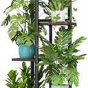 LINZINAR Plant Stand 5 Tier 6 Potted Indoor Plant Shelf Multiple Stands for Garden Corner Balcony Living Room