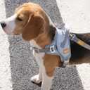 DF No Pull Step-in Martingale Dog Harness, Help Stop Pulling & Choking, Reflective & Adjustable, Front Clip Harness with Lift Handle, Tactical Silent Metal Buckle, Gray, 3/4", Front Chest 13.2"-16.0"