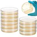 SHINEOFI 10pcs Nutrient Agar Petri Dishes, 7cm Pre-Poured Agar Plates for Laboratory Use School Projects and Research Science Experiment Prepoured Supplies