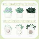 18pcs Plant Magnets, Cute Fridge Magnets Funny Aesthetic Succulent Magnets for Locker Desk Accessories Magnetic Plant Decorative Magnets for Kitchen Refrigerator Office Whiteboard