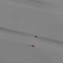 BARNSMITH 30x80 in Raised 6-Panel Textured White Primed Molded Door Slab, Classic Style Paintable Hollow Core Interior Door Panel, for Pocket, Swing, Sliding Door, Durable and Lightweight