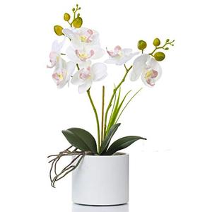 Jusdreen 1 Pcs Ceramic Vase Artificial Orchid Flower Bonsai Vivid Phalaenopsis Flowers Potting for Home Office Décor,Table Centerpiece Room Decorations 14.5 INCH (Ceramic Pot/White Orchid)