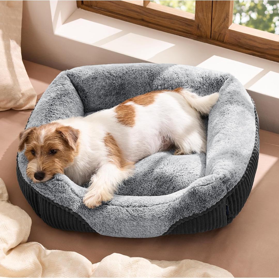 Bedsure Washable Dog Bed Small Medium Size Dog - Rectangle Fluffy Plush Pet Bed Puppy Bed, Comfy Corduroy Fleece and Nonskid Bottom,25x21x7inches,Suitable for Pet Up to 20lbs,Grey