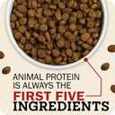 Redbarn Grain-Free Adult Dry Dog Food Kibble - Sky Chicken Recipe - Made in USA No Grains Recipe with Functional Ingredients to Support Healthy Heart, Skin, Coat, Immunity & Digestion - 4lb (EXP 09/18/26)