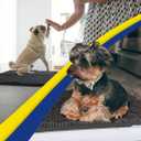 Muddy Mat | Super Absorbent Door Mat Indoor, Microfiber Quick Dry Chenille Entryway Rug, Non-Slip Front Door Mat, Indoor Mats for Entryway, Machine Washable Pet Rug, Charcoal 24"x60"