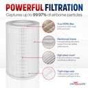 11011 True HEPA Filter Replacement Compatible with Clorox Large Room Air Purifier Model 11010 by LifeSupplyUSA (2-Pack)