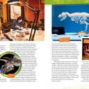 Absolute Expert: Dinosaurs: All the Latest Facts from the Field
