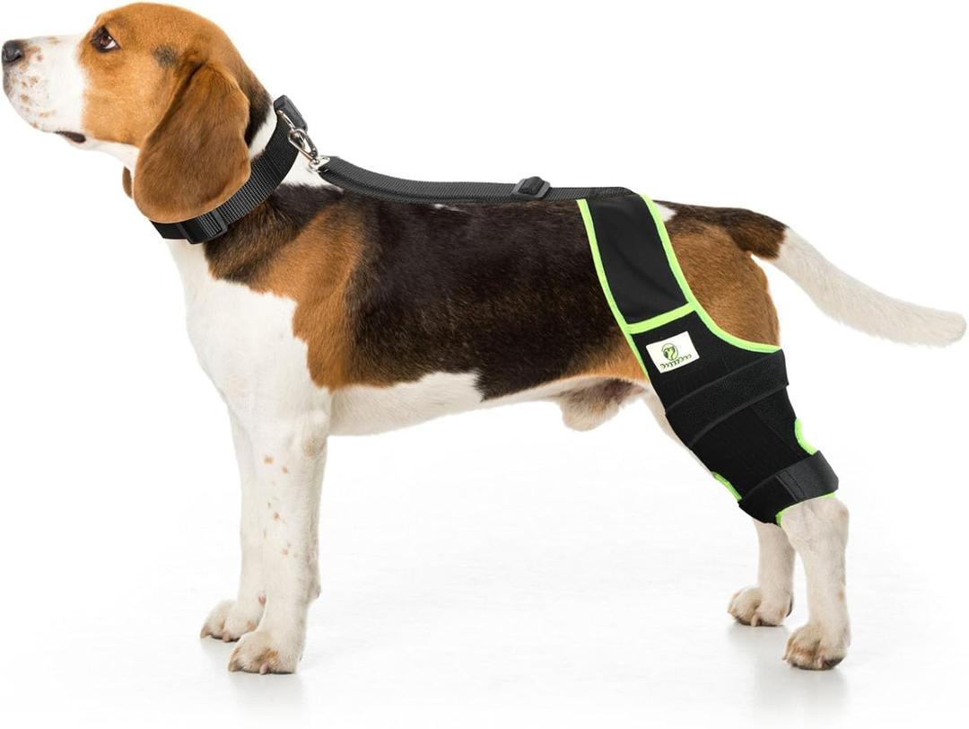 Dog Knee Brace for Hind Legs with Extra Collar & Strap - Relieves Joint Pain & Discomfort, Enhances Mobility | Supports Recovery from Osteoarthritis, Torn ACL/CCL, Luxating Patella | Adjustable (XS)