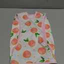 Kuoser Recovery Suit for Dogs Cats After Surgery, Professional Pet Recovery Shirt Dog Abdominal Wounds Bandages, Substitute E-Collar & Cone, Prevent Licking Dog Onesies Pet Surgery Recovery Suit, M