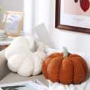 Kajaia 2 Pcs Simulated Pumpkin Pillow Plush 11 x 9.5 Inch 3D Cushion Fall Decorations Stuffed Throw Pillows Toy for Thanksgiving Christmas Halloween Bedroom Sofa Couch Supplies (White,Brown)