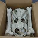 JOYIN 5 FT Halloween Skeleton Life Size, Stayable Posable Skeleton Decor, Full Body Movable Joints Giant Skeletons for Halloween Decoration Outdoor, Haunted House Prop, Spooky Scary Graveyard Party