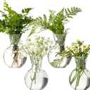 Plastic Propagation Vases (4 Bulbs),Desktop Plant Terrarium for Indoor Plants - Hydroponics Containers for Home Office Desk Decor, mini Gardening Gifts for Women Who Love Plants (4PCS)