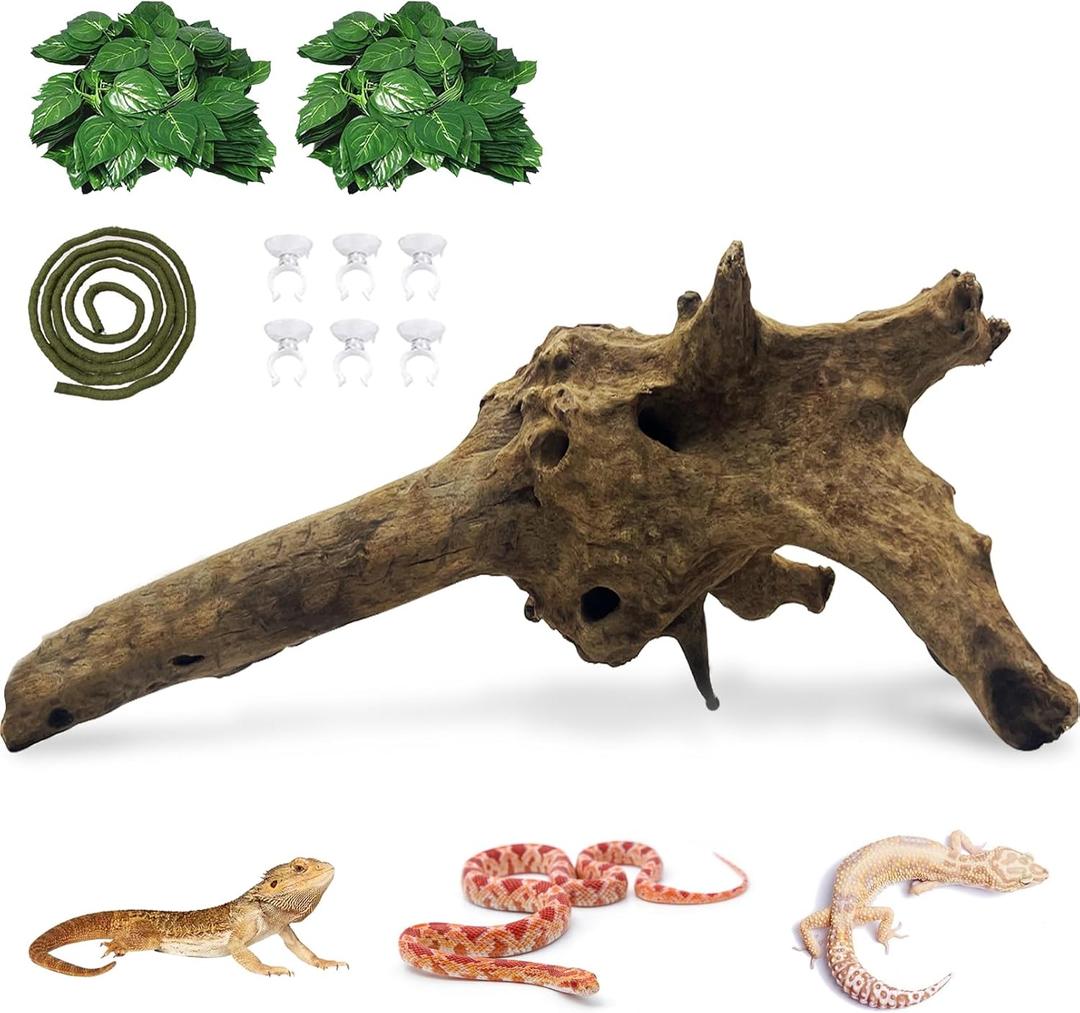 Hamiledyi Large Driftwood for Reptile Tank 11-16" Natural Bearded Dragon Wood Snake Climbing Branch Decor Assorted Driftwood Terrarium Accessories for Ball Python Gecko Lizard Chameleon Iguana