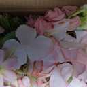 10 Sets Mason Jars Flower Table Centerpiece with Pink Rose Hydrangea Artificial Flowers Jars for Wedding Engagement Dining Party Kitchen Living Baby Bridal Shower