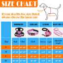 LOBEVE No Pull Dog Harness, Collar & Leash Set | Includes Dog Seat Belt, Collapsible Bowls & Poop Bag Dispenser. Ideal for Training, Walking, Hiking. Fits Small to Large Dogs(Pink-M)