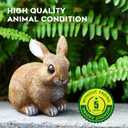 LEGIFO Bunny Decor Yard Decorations Outdoor Set of 3, Bunny Decorations for Home Garden Outdoor Statues, Easter Rabbit Figurines mom Gifts