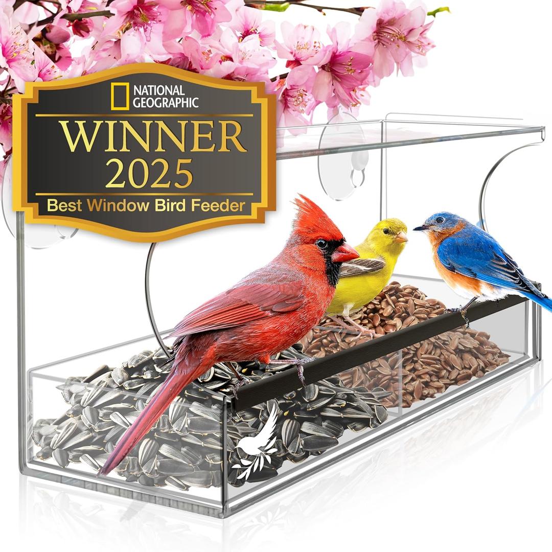 Window Bird Feeder by Nature's Hangout - Award-Winning Transparent Acrylic Bird Feeders for Outdoors, No Assembly, Strongest Suction Cups, Birds Watching for Cats, Easy-to-Clean Birdhouse Feeder