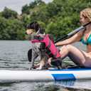 EMUST Dog Life Jacket, Dogs Life Vests for Swimming, Beach Boating Pool with High Buoyancy, Bright Color Dog Flotation Vest, BrightPink, L