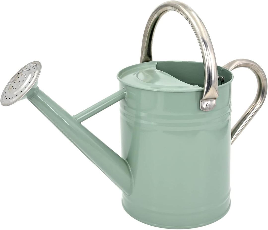 Lechloris Metal Watering Can for Outdoor Plants, Galvanized Steel Watering Can with Removable spout, 1 Gallon,Perfect Home & Garden Décor Cream Green