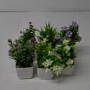 Der Rose 6 Pack Small Fake Plants Mini Artificial Faux Plants with Flowers for Home Room Farmhouse Bathroom Decor Indoor