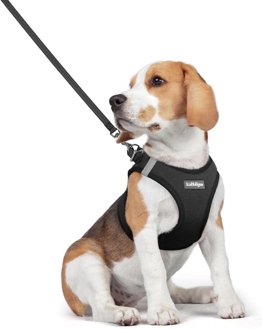 rabbitgoo Dog Harness Small Medium Sized and Leash Set, Step in Soft Light Puppy Vest, Breathable Mesh Pet Harness, Reflective for Safe Easy Walking, Black L (L (Chest: 18.2 - 20.5"))