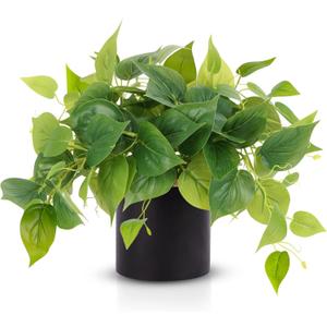 JPSOR Artificial Indoor Plants for Home Decor, 12 inches Pothos in Black Ceramic Pot with Iron Wire, 1 Count