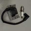 LV195EA ignition Coil Module for Tecumseh 6.5HP 5HP 6HP 34443B 3443C 34443D 1a138-42-12 1a138-52-12 LV195XA OHH60 H60