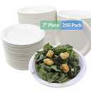 Reli. Compostable Paper Plates 7 Inch (250 Pack Bulk) | White Disposable Plates 7" | Heavy Duty Paper Eco Friendly | Made of Sugarcane Fibers/Bagasse - Biodegradable/Compostable| Small