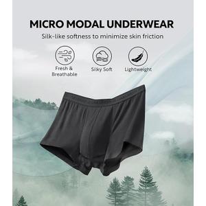 DAVID ARCHY Mens Underwear Ultra Soft Micro Modal Support Pouch Trunks Moisture Wicking Boxer Briefs for Men 3 Prs L