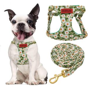 No Pull Dog Harness Adjustable Small Dog Harness and Leash Set, Lightweight and Soft Dog Harness No Choke Escape Proof Pet Harness Vest (Green Daisy, S)