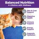 Wellness Complete Health Pate Variety Pack Adult Canned Wet Cat Food, Natural, Protein Rich, Grain Free, Chicken and Turkey Favorites, 5.5 oz, Pack of 12 Cans