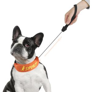 NAMSAN Retractable Dog Leash Collar for Small to Medium Dogs, Dog Collar with Retractable Leash Built-in, All-in-One, Adjustable, Orange, Size Small