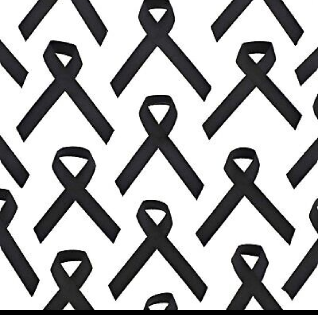 Ns Awareness Ribbons With Pins Black 250 Pack