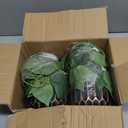 Fake Plants 2 Pcs Faux Pothos Plants Potted Indoor Artificial Hanging Plants Realistic Fake Greenery Table Desk Bathroom Office Bedroom Living Room Shelf Modern Farmhouse Decor Indoor