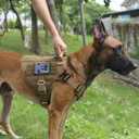 ICEFANG Tactical Dog Harness for Large Dogs, Reflective No Pull Dog Vest (Brown)