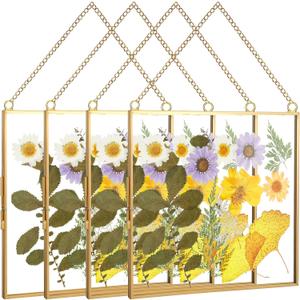 4 Pcs Glass Frame for Pressed Flower 8x8 Inch Clear Wall Hanging Photo Frame Glass Picture Double Square Metal Floating DIY Vintage Artwork Display with Chain for Poster, Gold