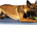 Starmark Dog Zone Bed Large Sky Blue (44.0"L x 27.0"W x 6.0"Th)
